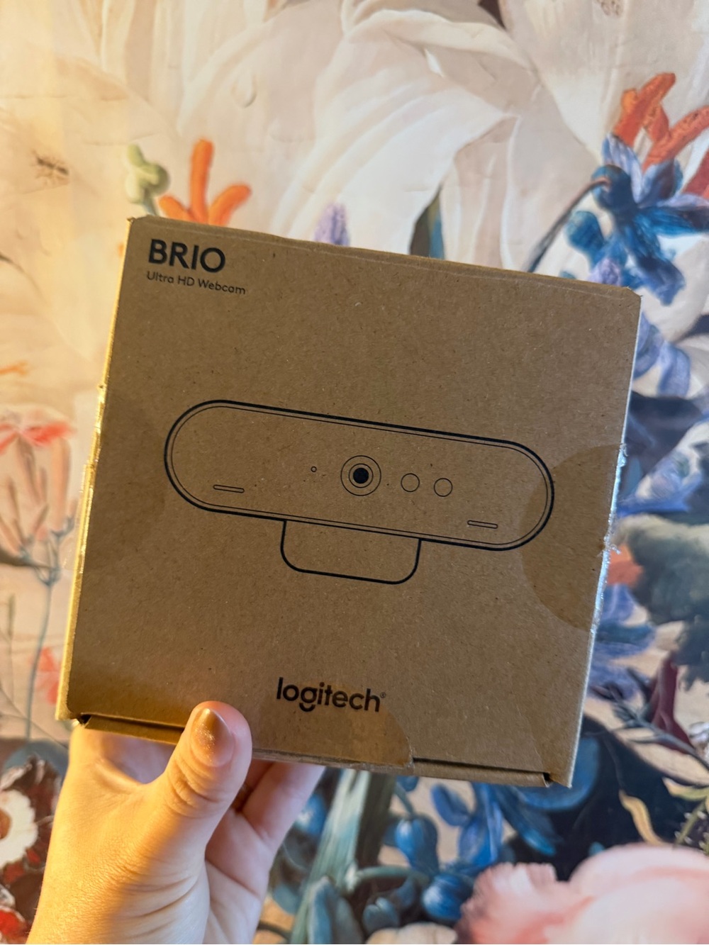 Logitech Brio in like new condition